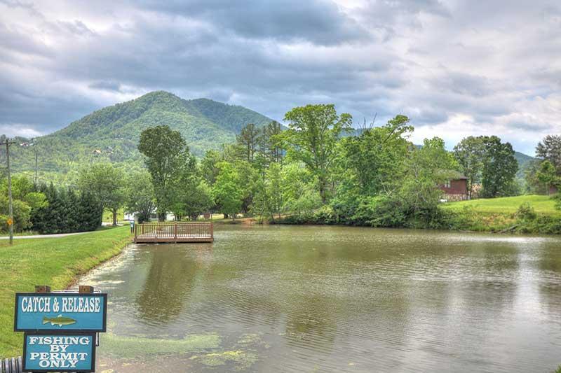 Catch release fishing pond at Honey Suckle Meadows Wears Valley Tennessee. at Alpine Oasis in Gatlinburg TN