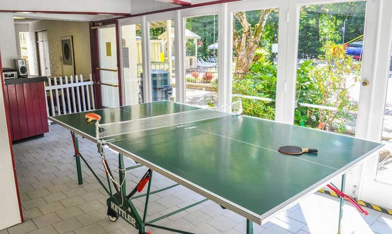 Try you hand at ping pong at the Chalet Village clubhouse. at Chalet All Day in Gatlinburg TN