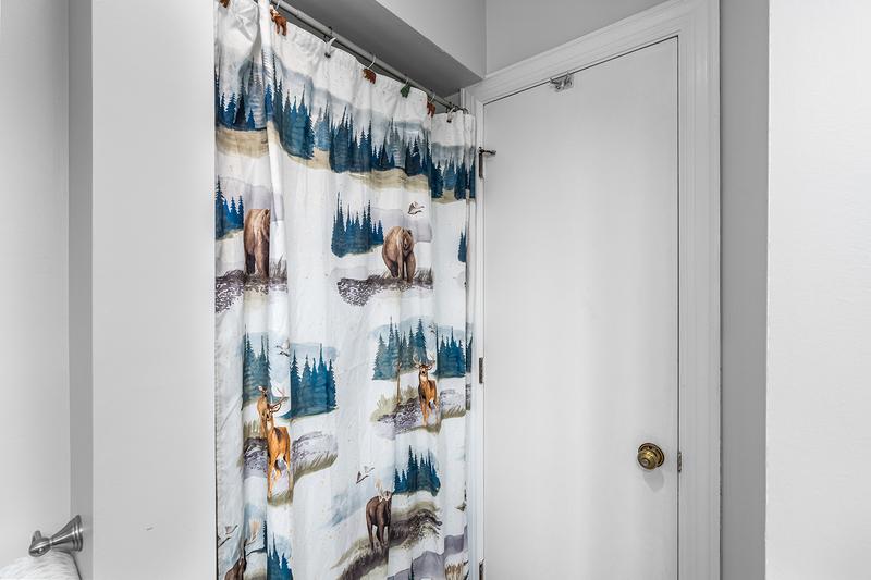 Bath Shower Your condo's shower.