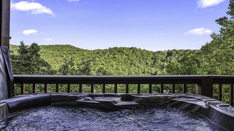 Abundant Views Abundant Views