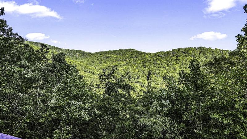 Abundant Views Abundant Views