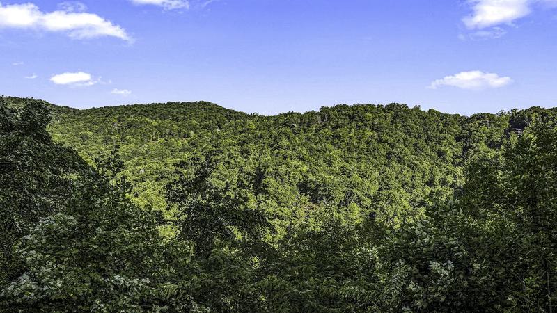 Abundant Views Abundant Views