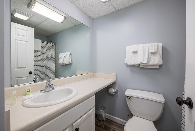 Bathroom 2 Bearfoot Lodge Gatlinburg. at Bearfoot Lodge in Gatlinburg TN