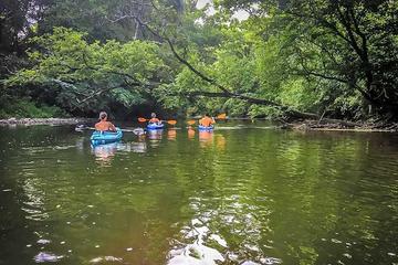 Kayaking down the Little Pigeon River by River Waltz Cottage. at River Waltz in Gatlinburg TN