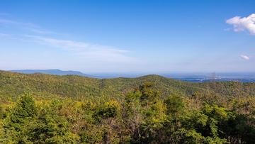 The Smokies forest surround your condos on Ski Mountain. at Smokies Summit View in Gatlinburg TN