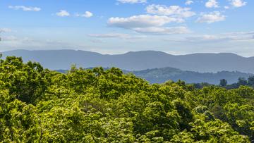 Taken at Royce' s Retreat in Gatlinburg TN