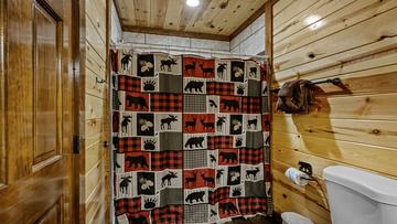 Shower And Tub Combo Soak in a soothing bath or take a brisk shower before heading out for fun in the Smokies.