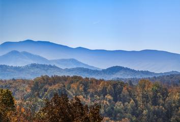 Photo of Rustic Roots